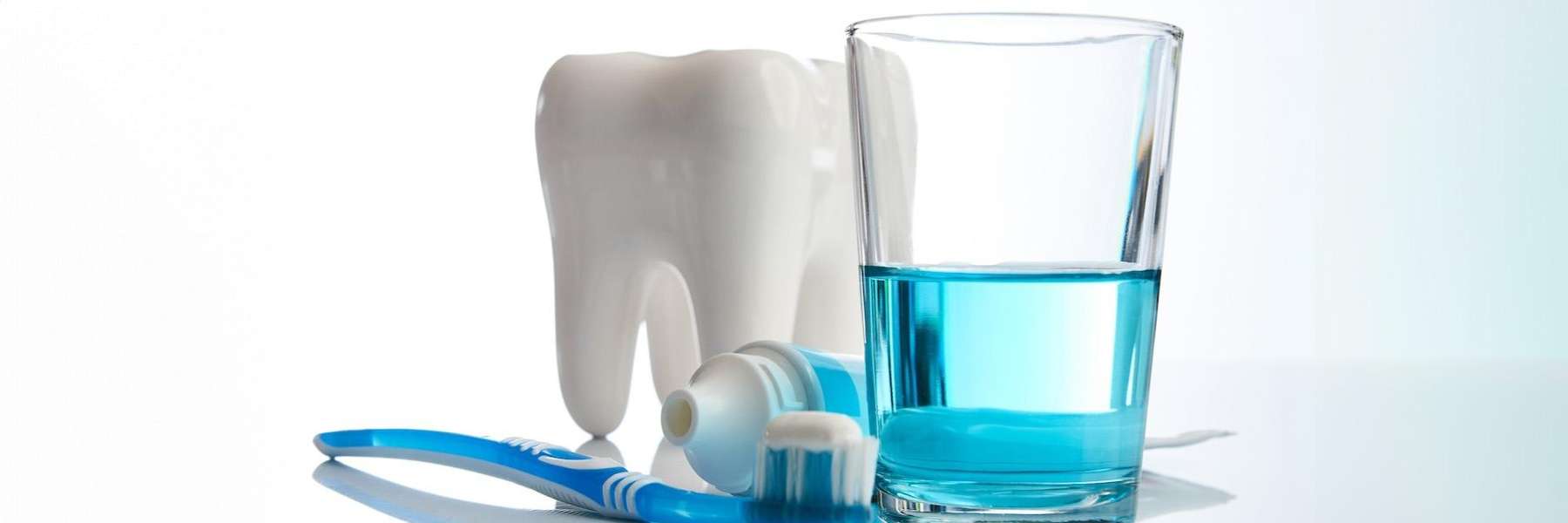 Toothbrush, toothpaste, and mouthwash with tooth model promoting daily oral hygiene to prevent gum d